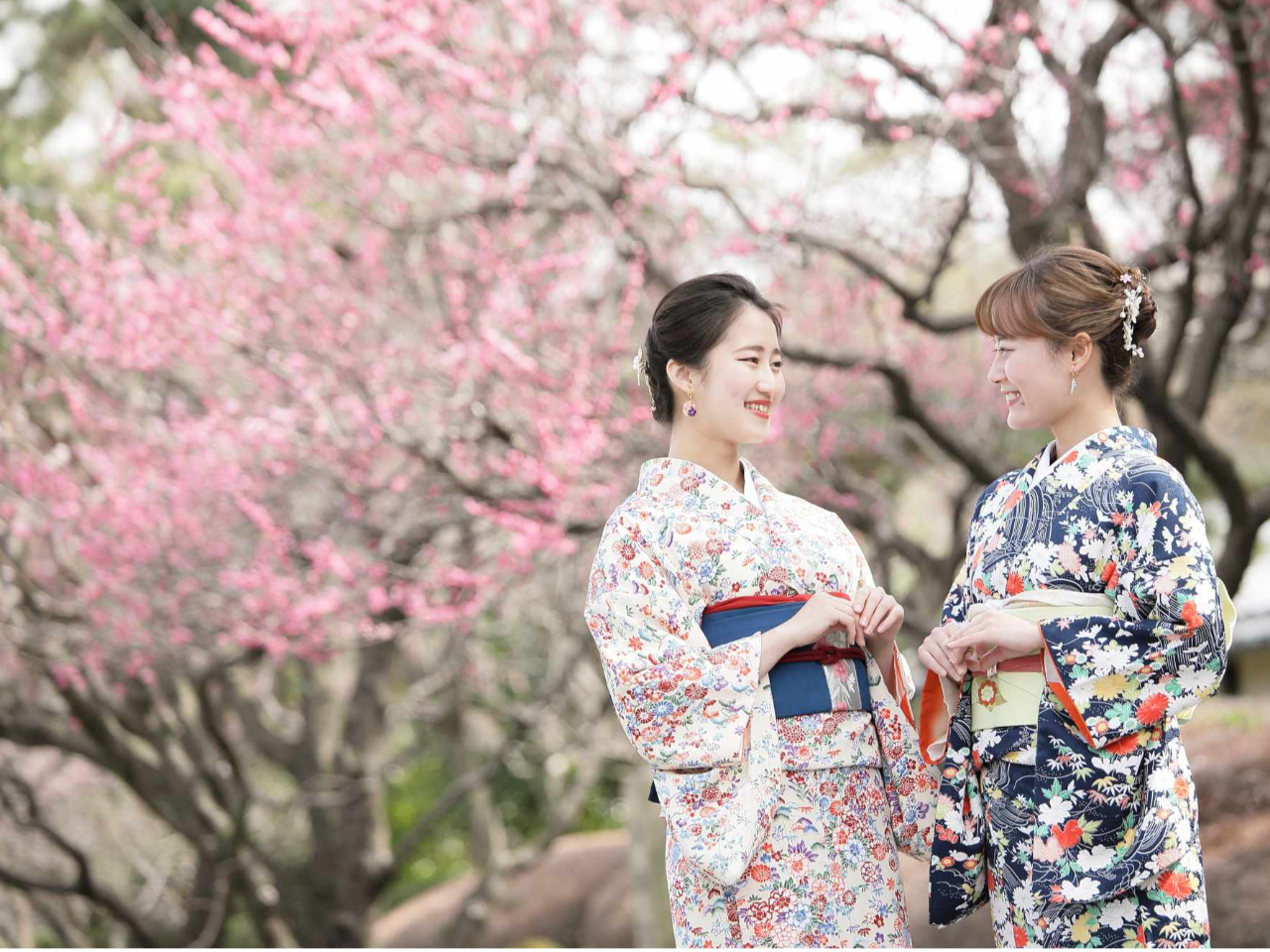 春は桜、秋は紅葉。四季折々と楽しみをお着物で楽しむ。最高の贅沢ではないですか?