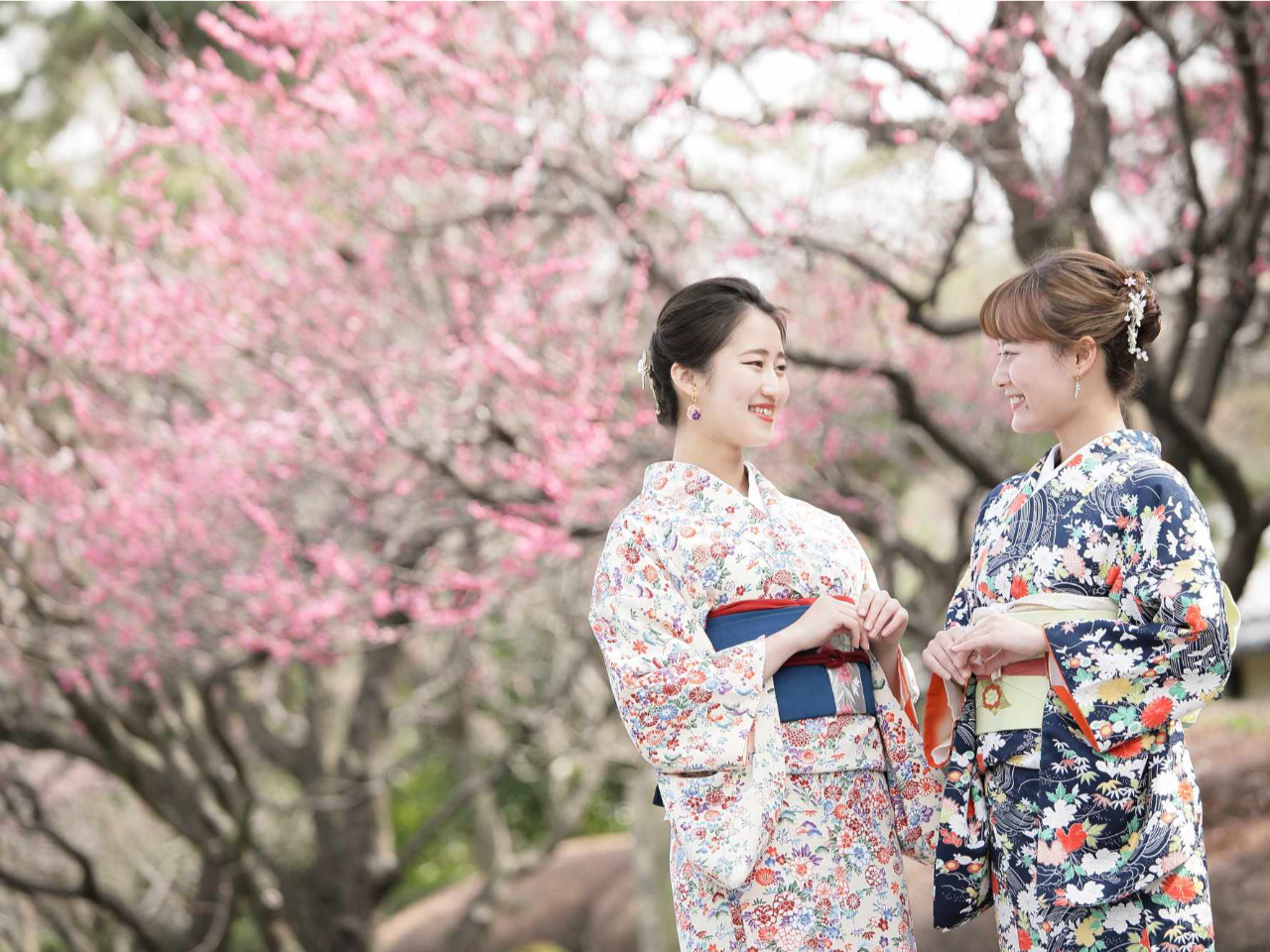 春は桜、秋は紅葉、四季折々の京都の景色をお着物でお楽しみください。
