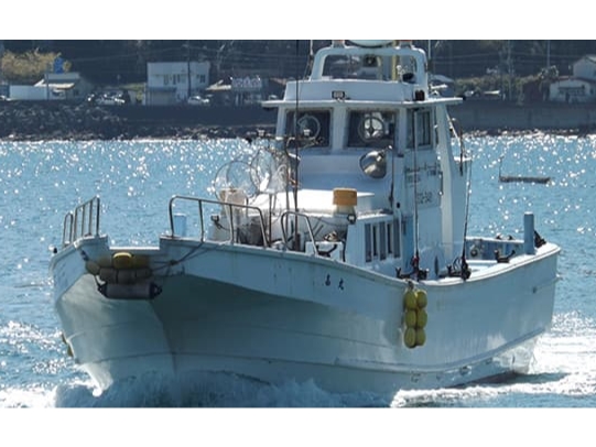 24/6/1~25/5/14【宇佐美】マダイ釣り・3名様以上1000円OFFプラ...