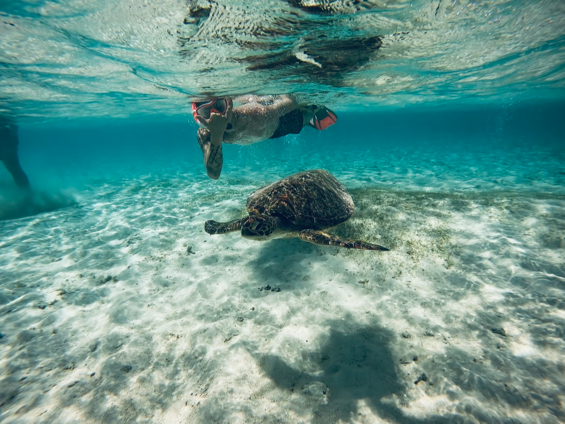 󐣂ɂE~K܂jɎMȂĂvłII