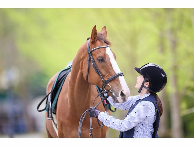 馬は優しく人の気持ちに寄り添ってくれる動物です