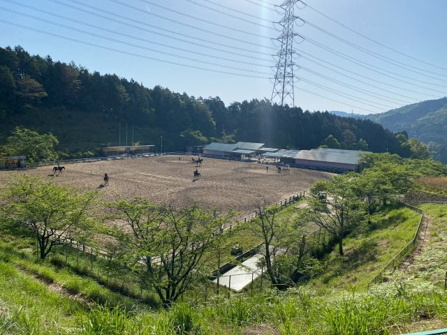 自然豊かな北摂で乗馬を楽しみましょう♪