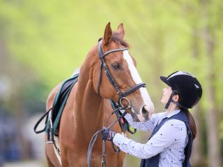 馬に逢って心も体もリフレッシュしませんか♪