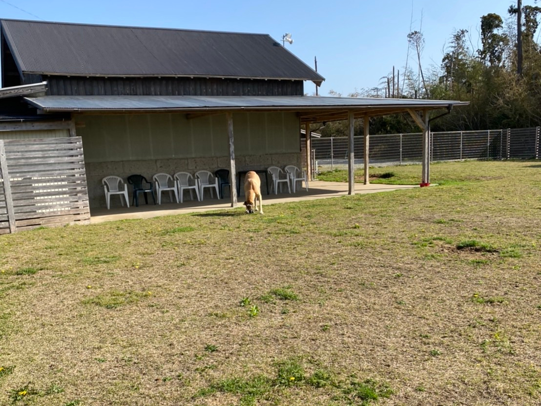 \ドッグラン時間貸し+持ち込みBBQ/広々芝生でドッグラン♪小型犬~大型犬までの...