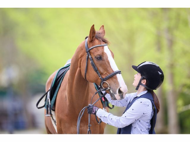 馬は優しく人の気持ちに寄り添ってくれる動物です