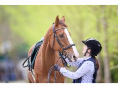 馬は優しく人の気持ちに寄り添ってくれる動物です
