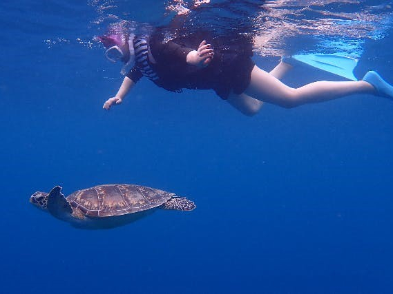 OG dive serviceの割引プラン