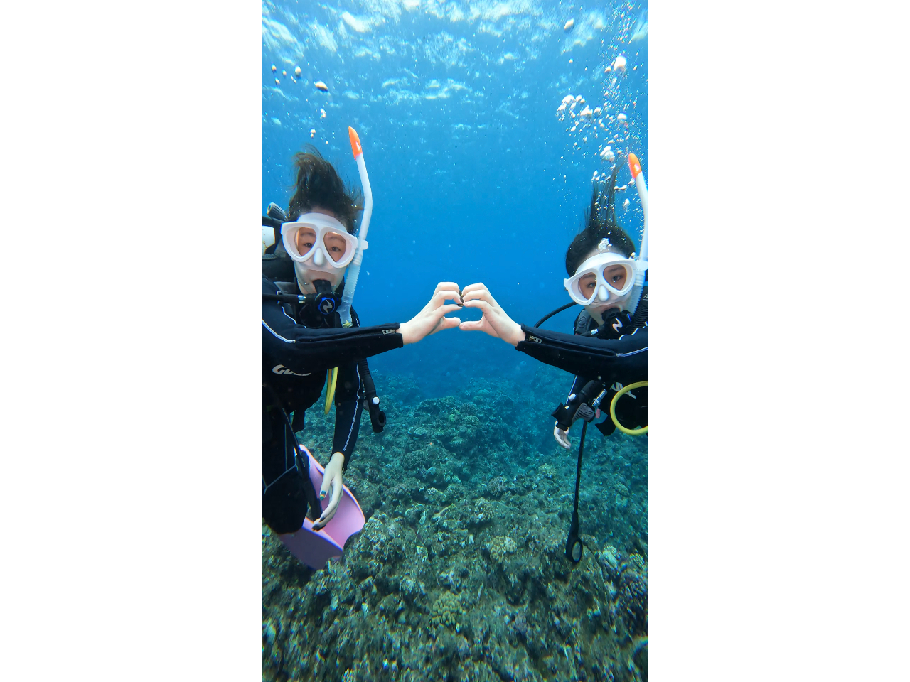 ŗ\ߌ߂Ă|[Y͂킹ĂĂ݂̂肩IH