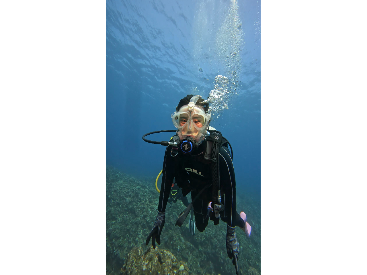 �t���t�F�C�X�}�X�N�̗p�ӂ�����܂��B��S�̂𕢂��̂Ō��ċz�����ȕ���}�X�N�ɐ��������Ă���S�z�Ȃ����ʓr��������