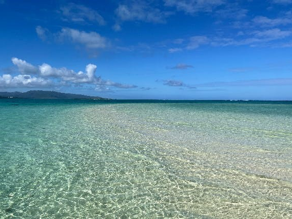 �V�C�ƊC�����ǂ���Ό��̓��ɗ�����邱�Ƃ��I�H