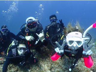 内地の海よりも青い離島ダイビング