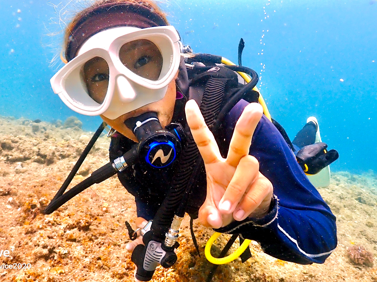 �u�K������t�@���_�C�o�[��