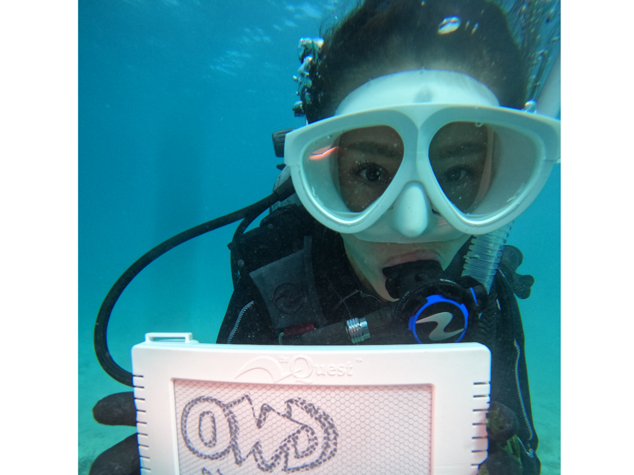 SoȂƂ납łvIQ҂90%_CrǑ̕΂IH