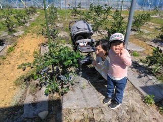 ベビーカーも安心して入園できます