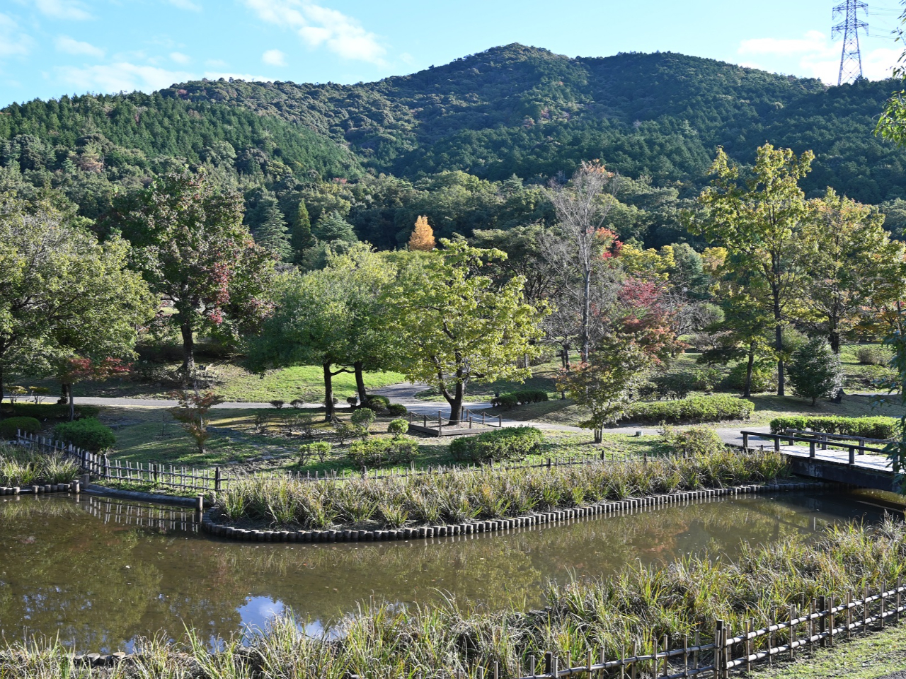 o͏tsssΉAAlGʂĔłB