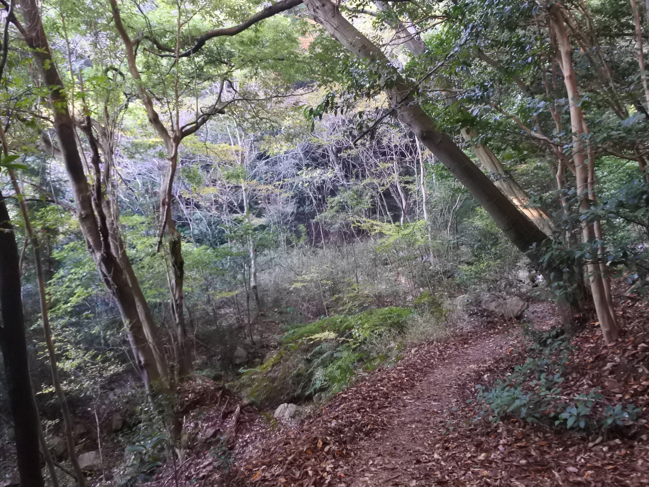 H͎RTHB΂̒ŁAAA܊ŎRȂ牺܂B