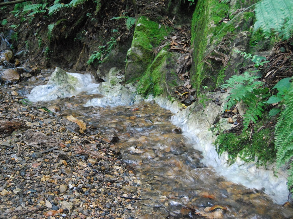 ̔΂͂ǂďô낤H@ȂAɂ̂낤H