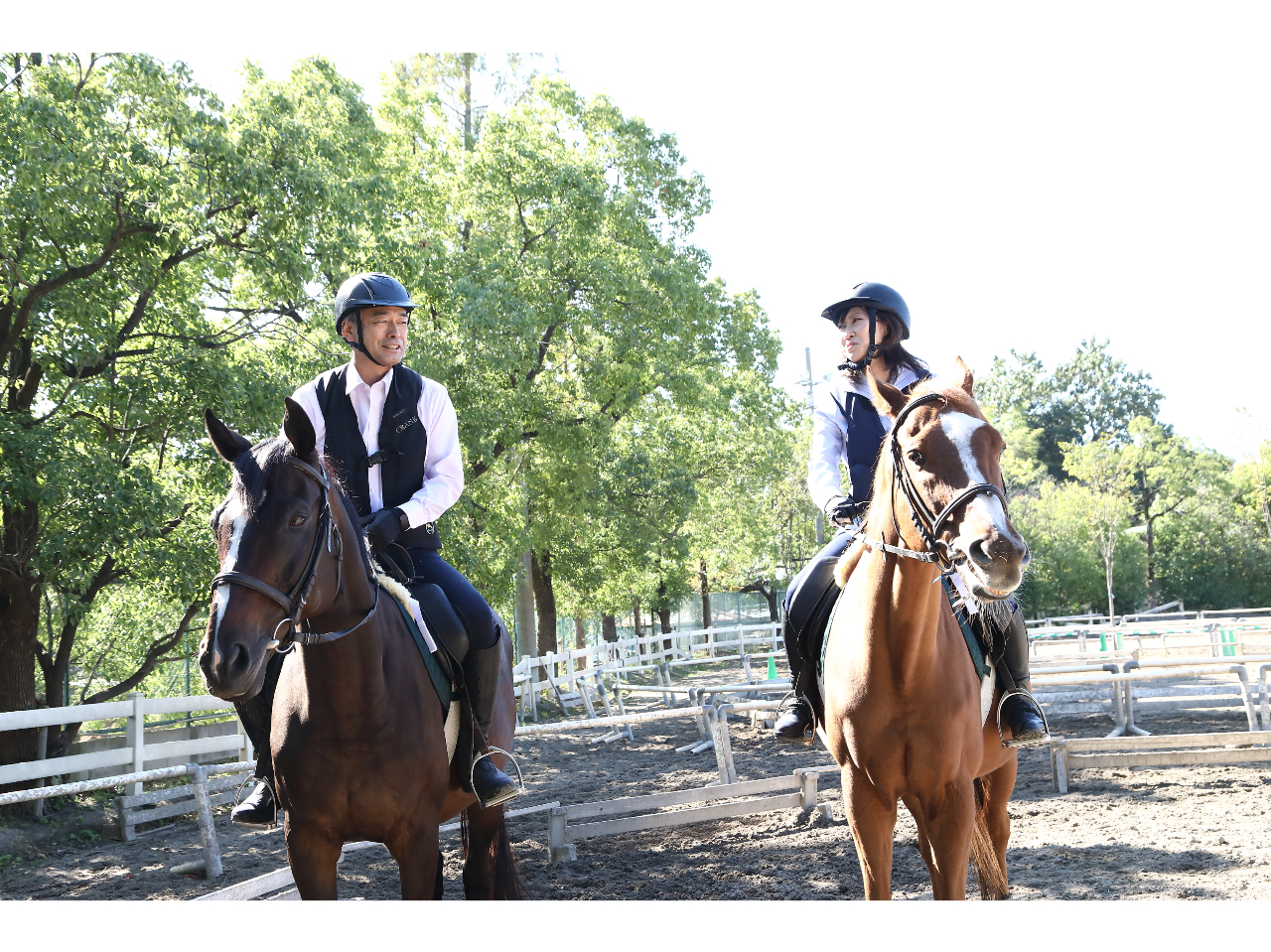 [g̉^sEXgXɏnn߂lĂ܂