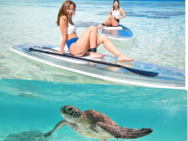 クリアサップ ウミガメシュノーケル