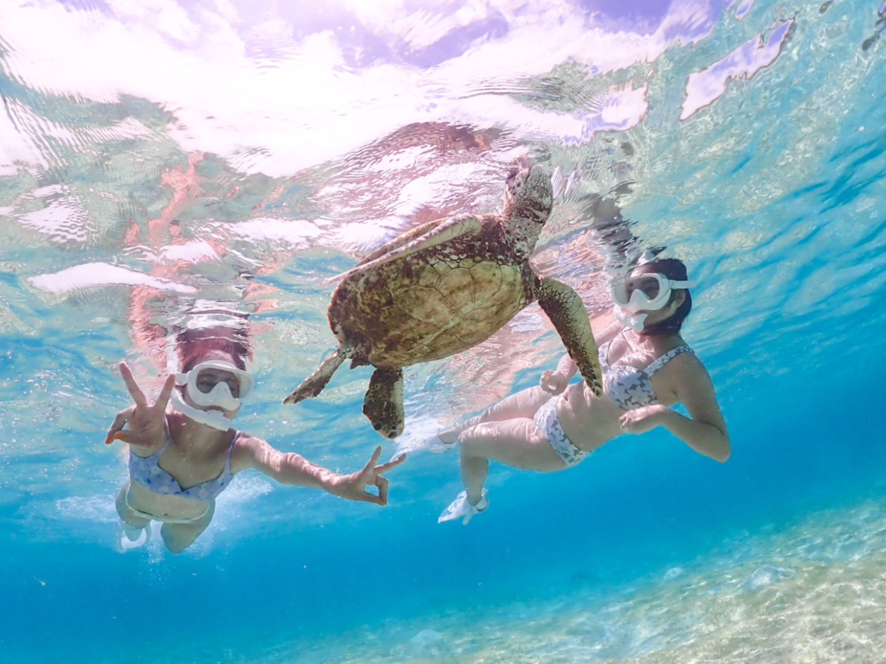 ウミガメシュノーケリング 宮古島