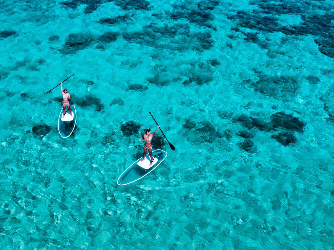 クリアサップ 宮古島