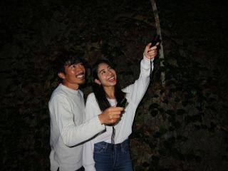 ナイトツアー 宮古島