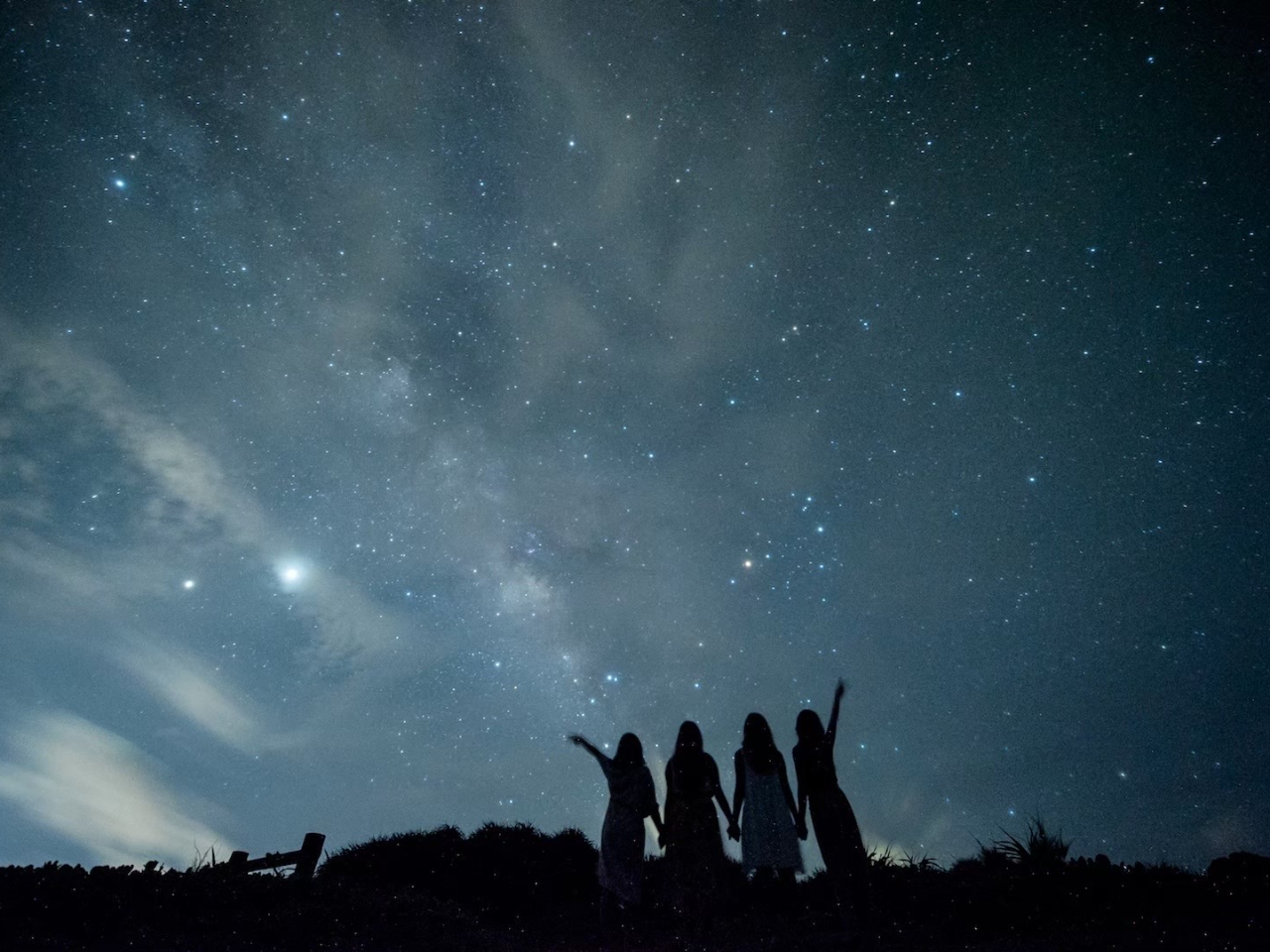 ナイトツアー 宮古島