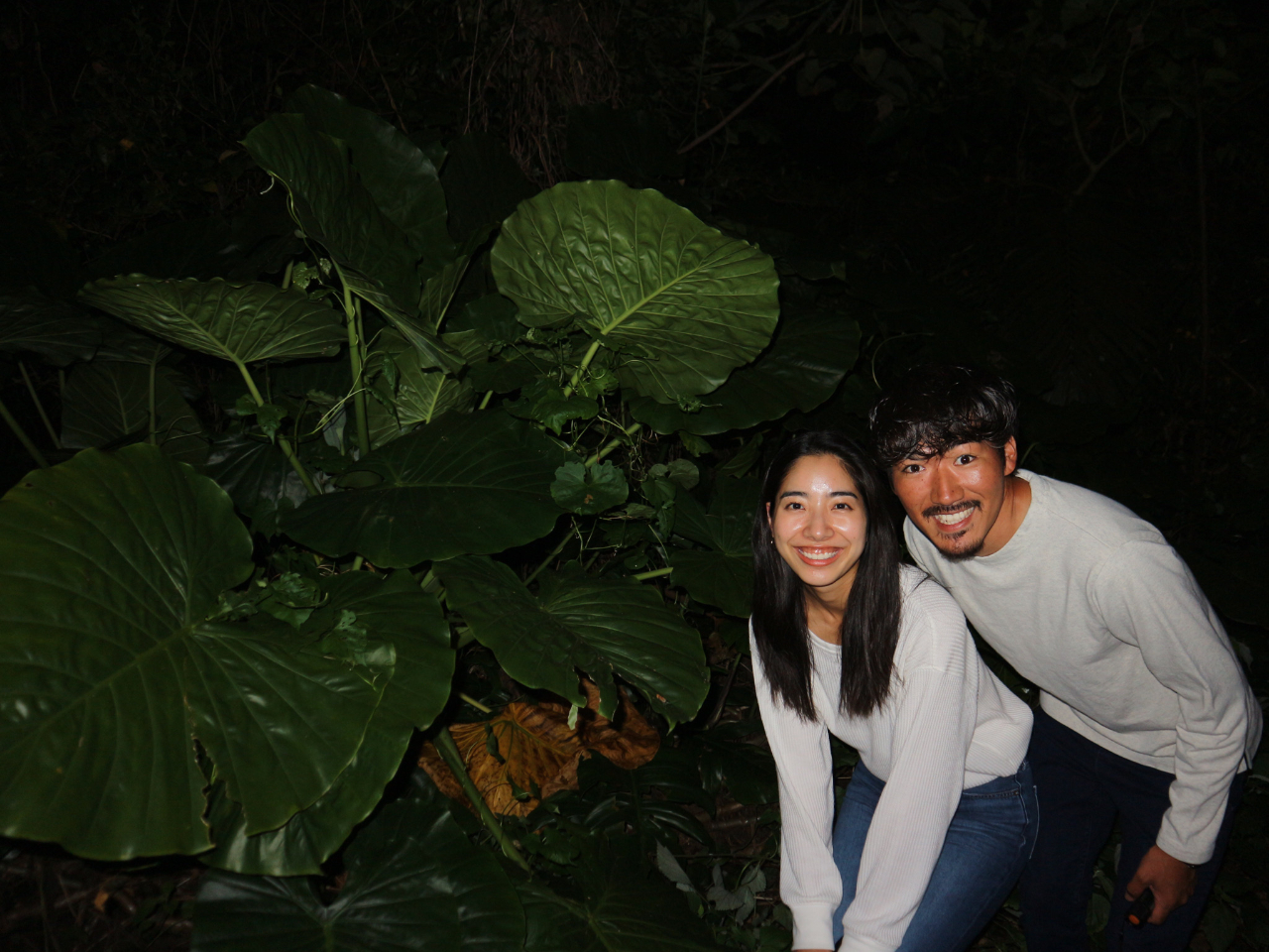 ナイトツアー 宮古島