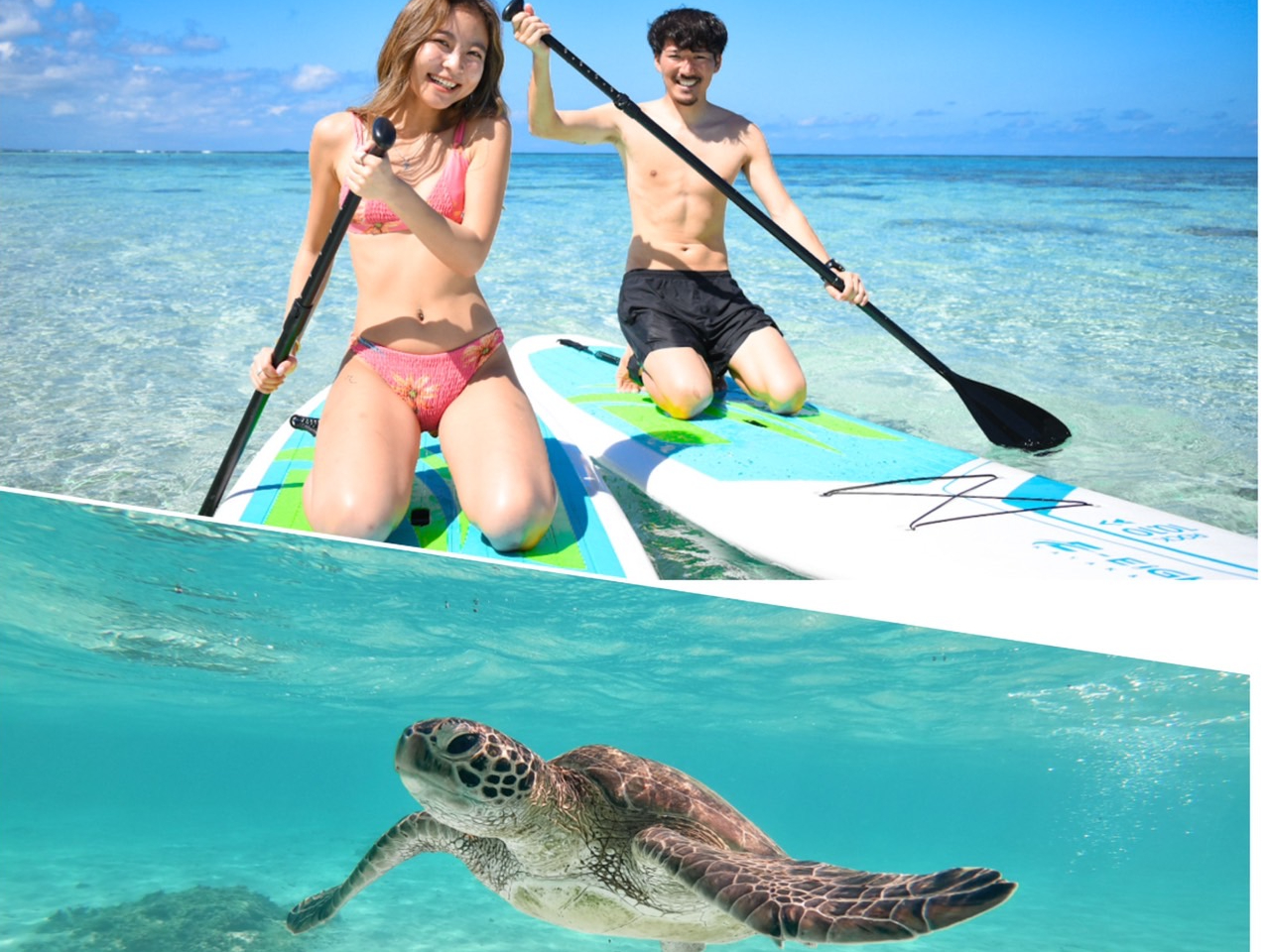 SUP シュノーケリング