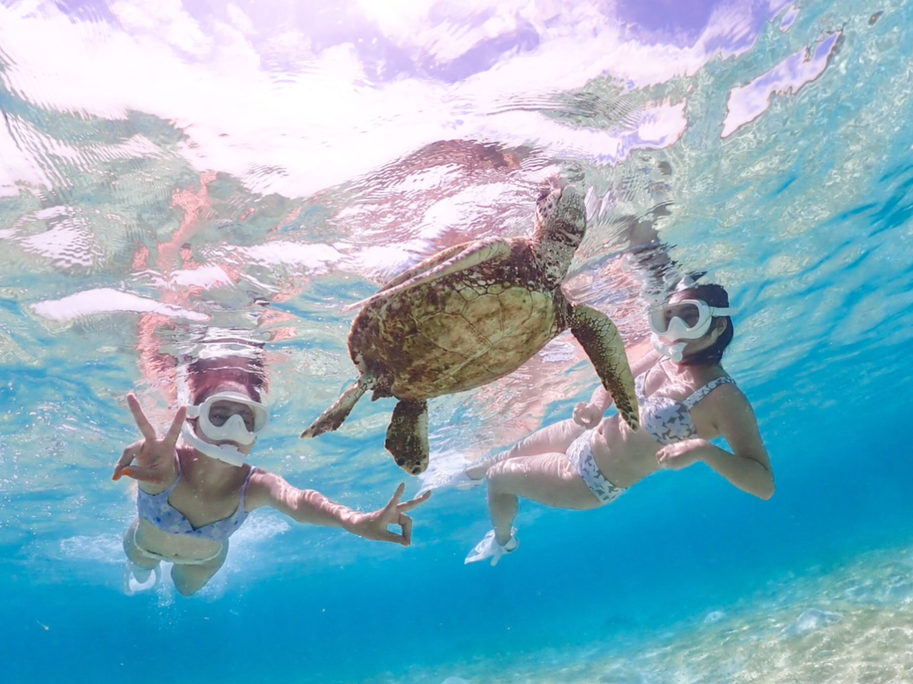 ウミガメシュノーケリング 宮古島