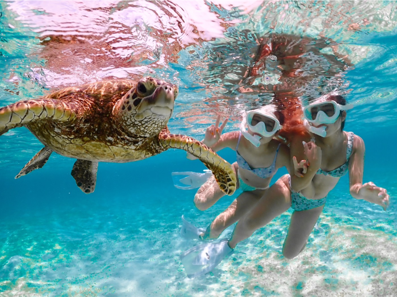 シュノーケリングツアー 宮古島