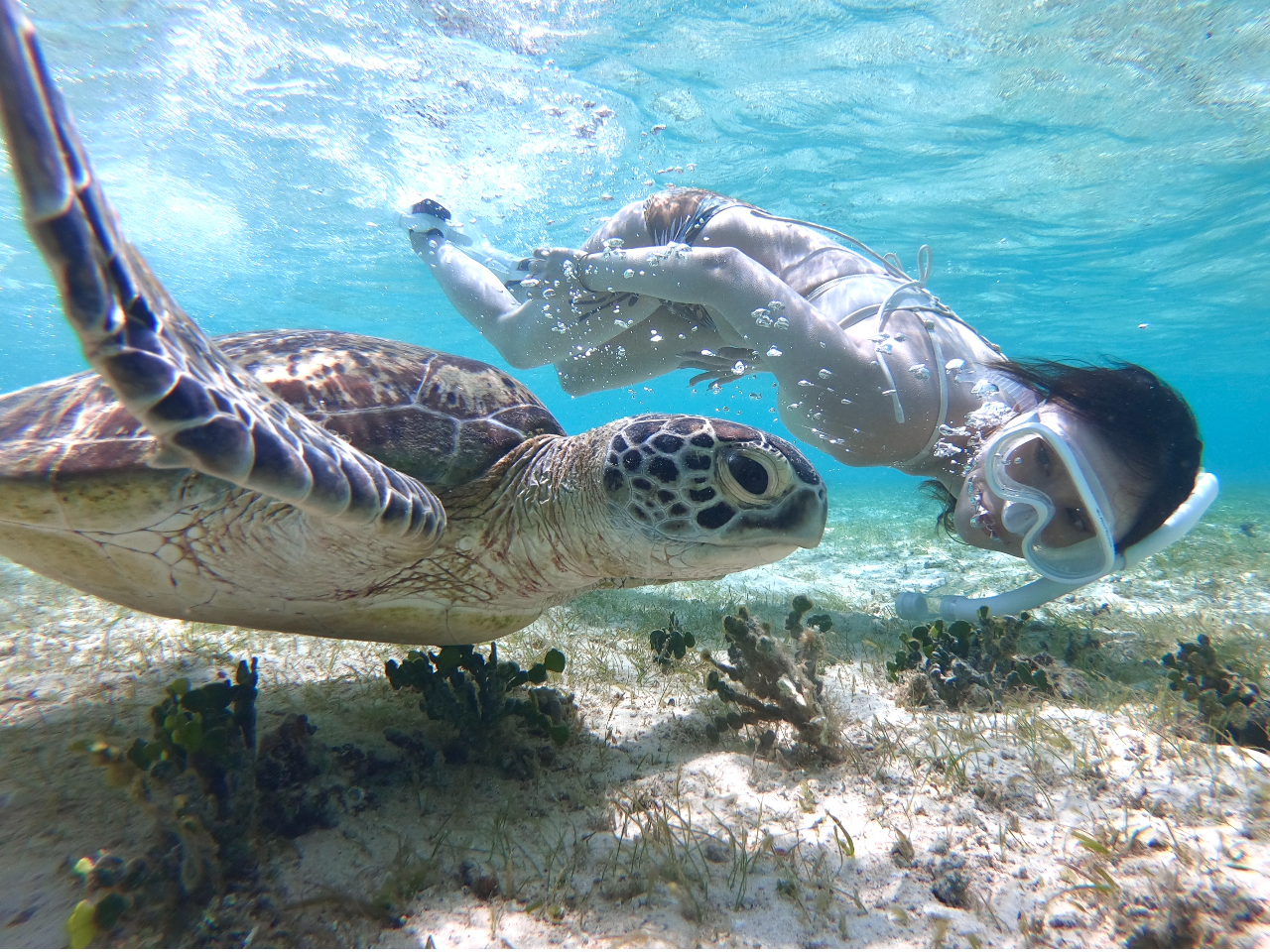 シュノーケリングツアー 宮古島