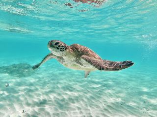 シュノーケリング 宮古島
