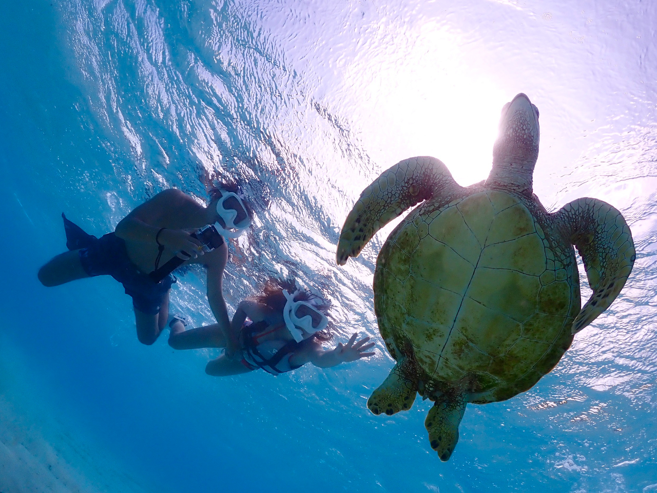 シュノーケリング 宮古島