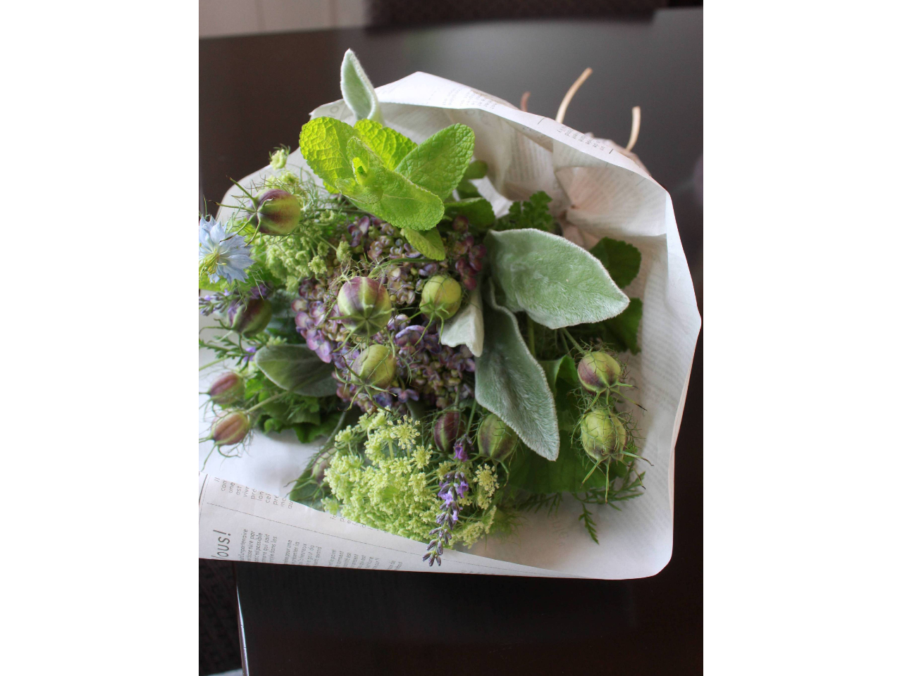 p̃^bW[E}bW[(n[ũu[Pj