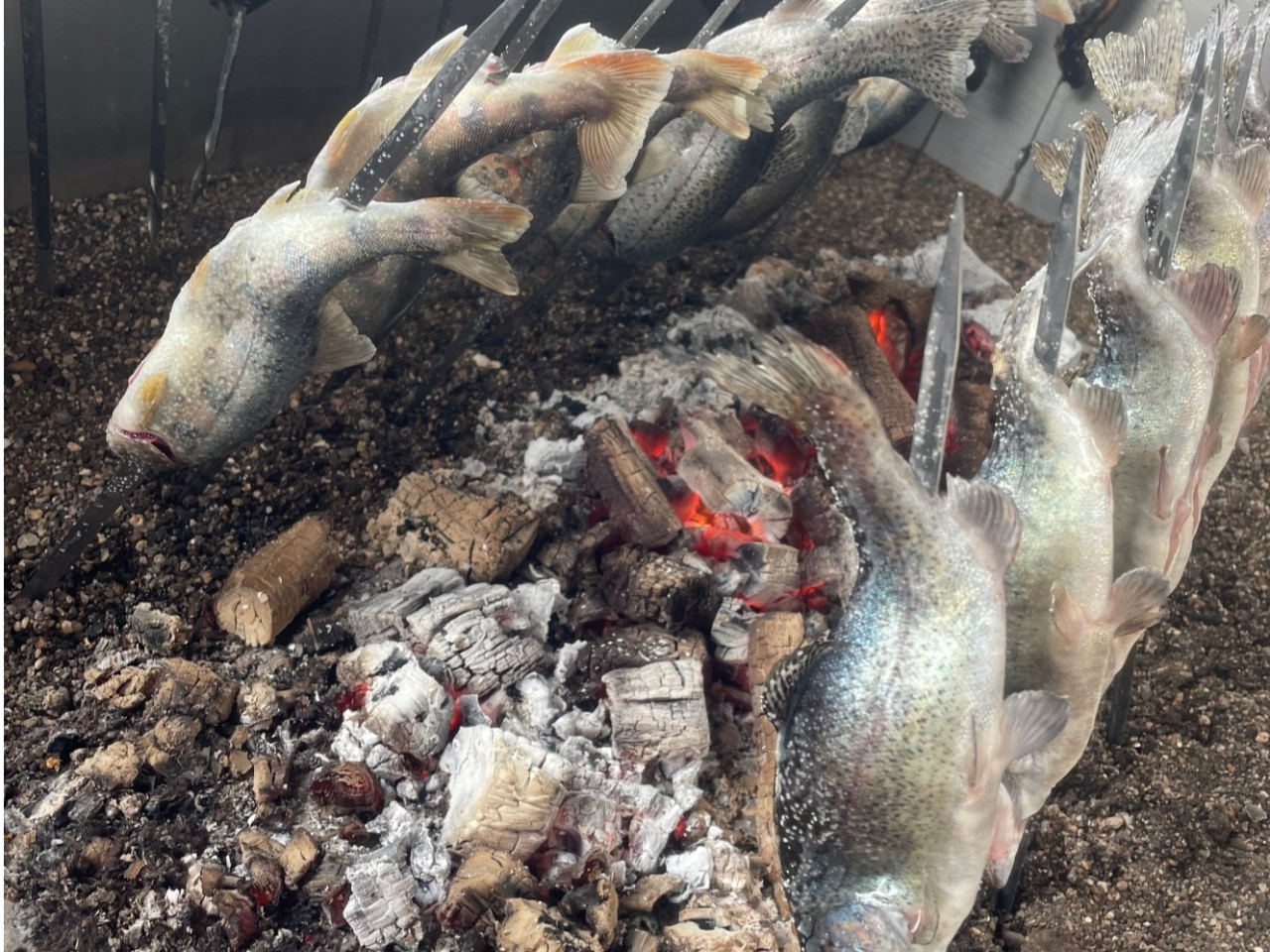 Y΂ŏĂ̂ňiƔłIAcAc̉Ăǂ