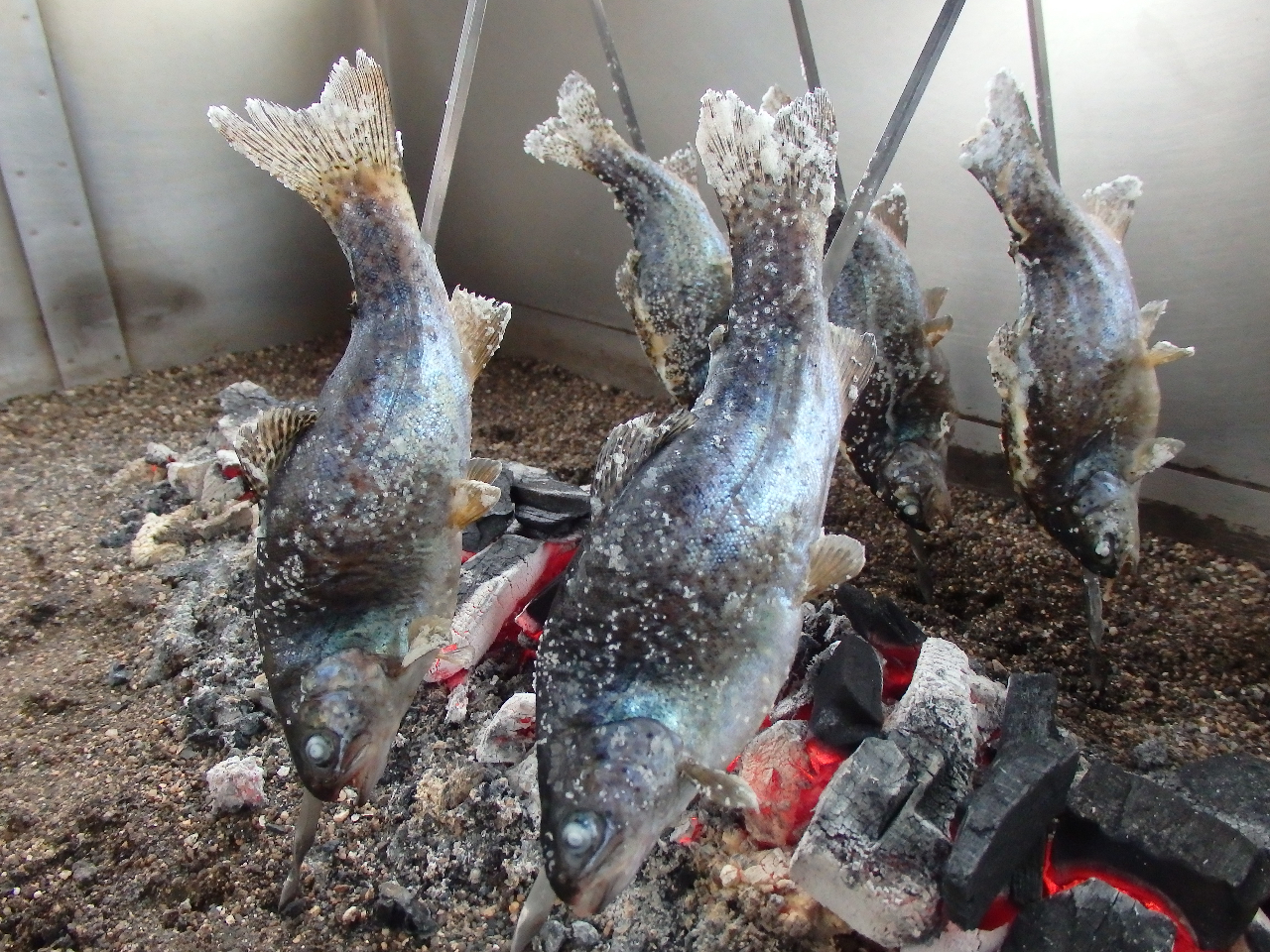 炭火で焼く塩焼きは格別においしいです!!