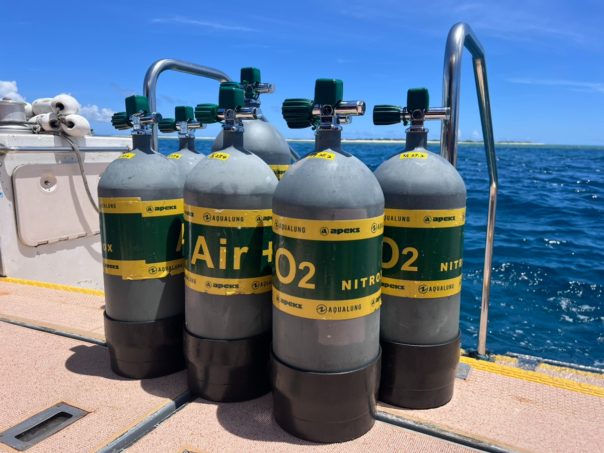 �_�f�R�Q���@�i�C�g���b�N�X�Ł@�̂ɗD�����_�C�r���O���悤