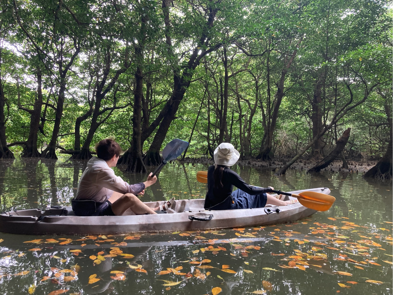 マングローブに囲まれてゆっくりとした時間をお過ごしください♪