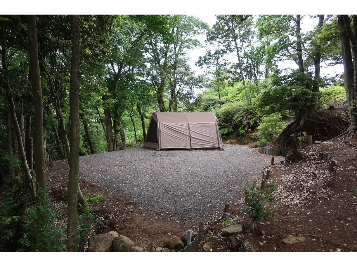 TCgFCɈ͂܂ꂽvCx[gTCgB̂ql͓Ă܂B