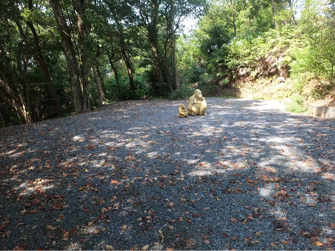 TCgF1䒓ԁ{2[{^[vĂ]T܂TCgU^[\łB