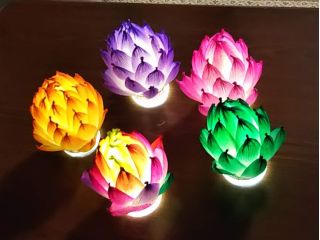 幻想的な蓮紙ランプシェードをつくろう!