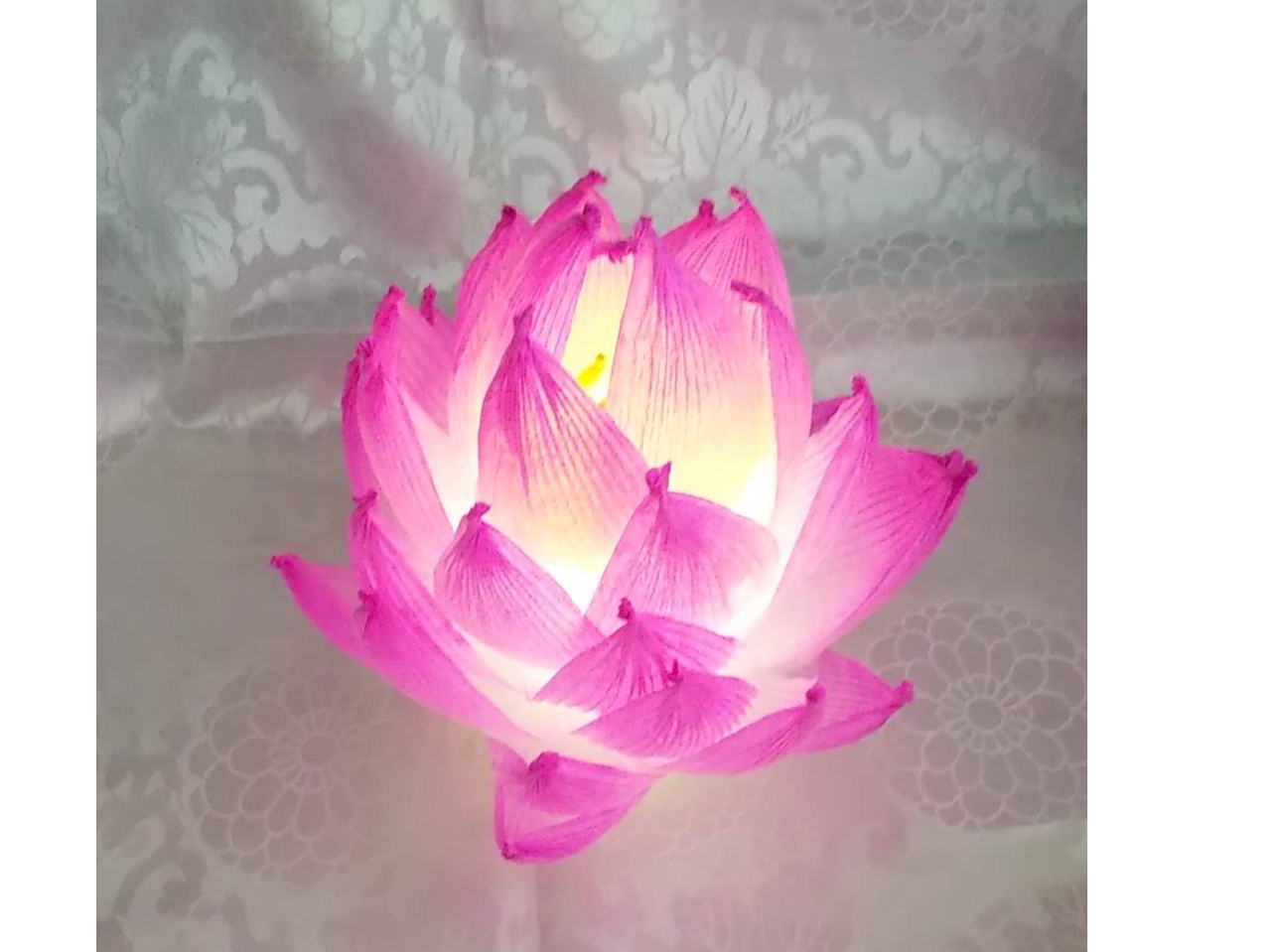 10/4【蓮紙ランプ制作体験＊50分間＊】光明寺《カップル、ファミリー