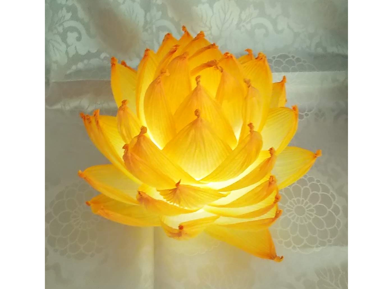 3/29【蓮紙ランプ制作体験＊50分間＊】光明寺《カップル、ファミリー