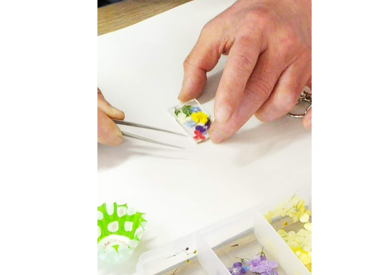 3/12 ホシノマルシェ/親子でつくろう！押し花キーホルダー/花