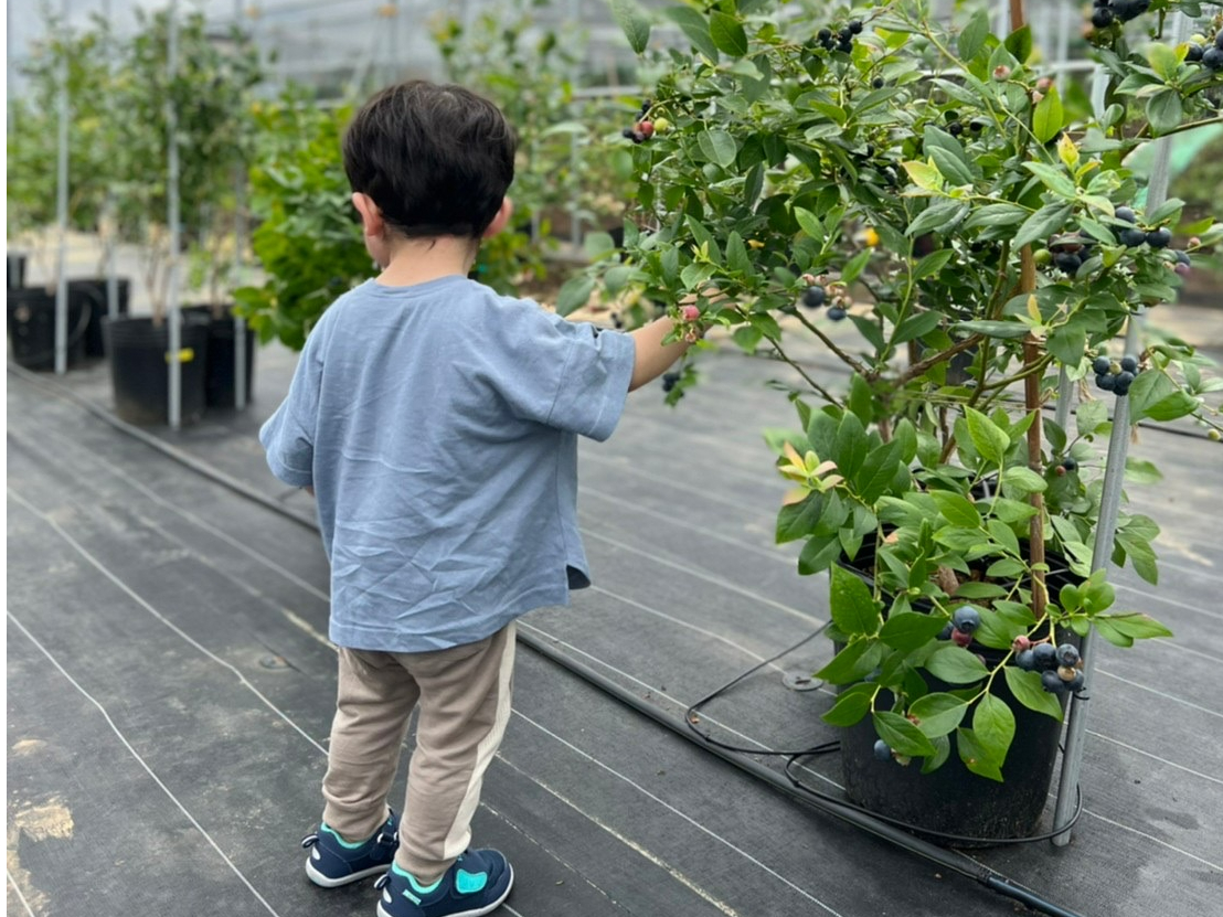 ƂĂqlAl߂Ẵu[x[Eݎ̌I uqǂŐHׂ܂vƂ̂񂢂܂BǂǂHׂĂˁI