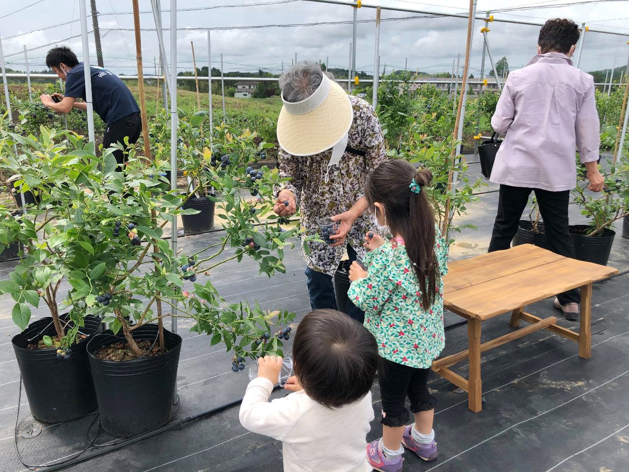 ΂ƈꏏɁA߂Ẵu[x[Eݎ̌I Ƒ̖邢̂ŕĂ܂BybȂu[x[EݎĂ