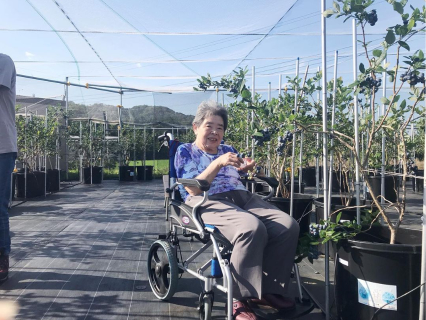 ͂قƂǒiȂĂ̂ŁÄq܂SĂ肢܂BǂȂu[x[yłˁI