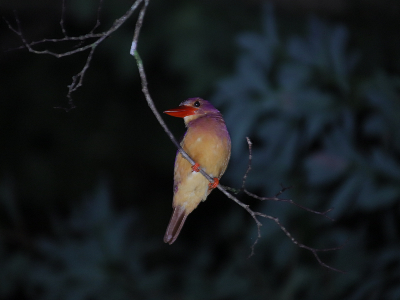 ELEAJVEr@@~JĂ̏I܂ł̊ԂŉɓnĂAԂpAɖ܂łB