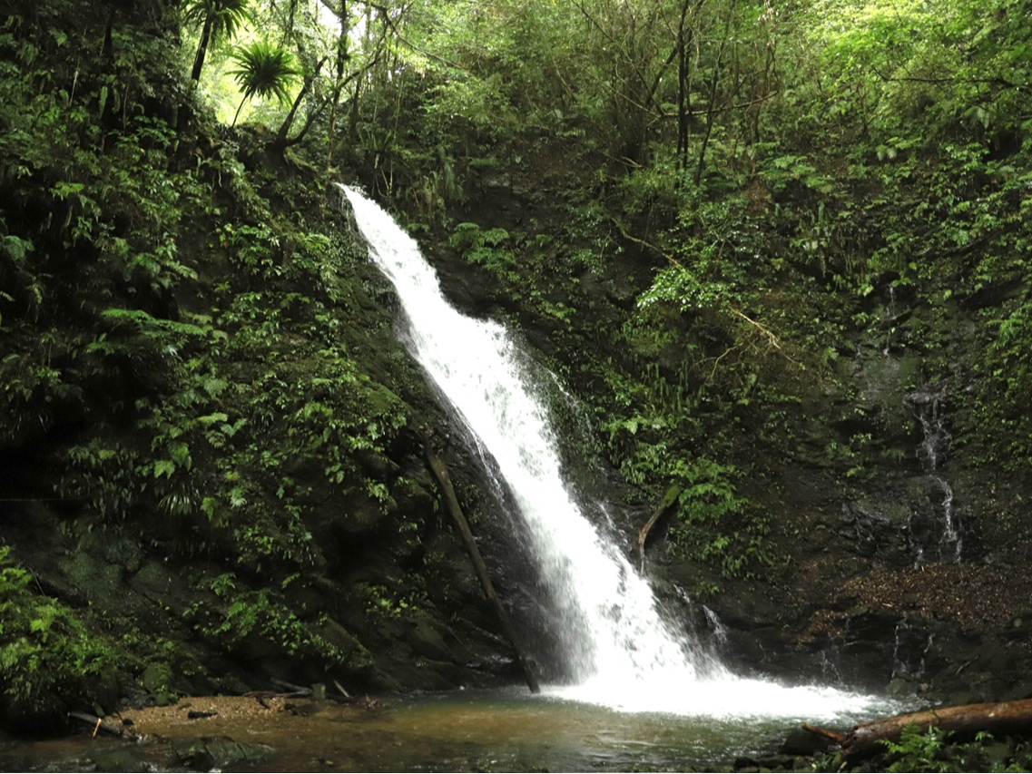 大自然の中に現れる滝はまさに圧巻です。観光客も現地の人もあまり来ない知る人ぞ知る滝なので、マイナスイオンを独り占めできます。